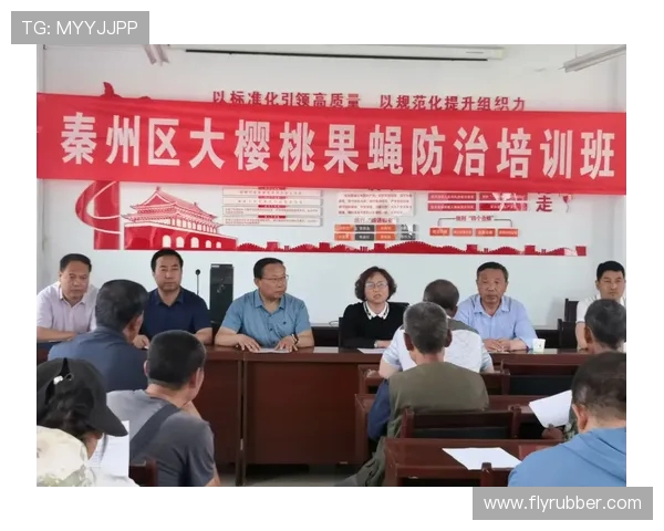 飞盘新手必看:从零基础到高手的全面提升指南