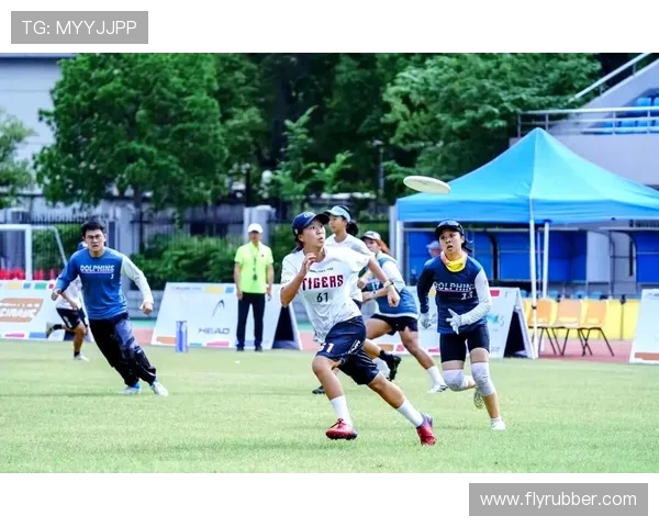 飞盘竞技的魅力与挑战：深入解析杭州飞盘队的战术布局与团队协作